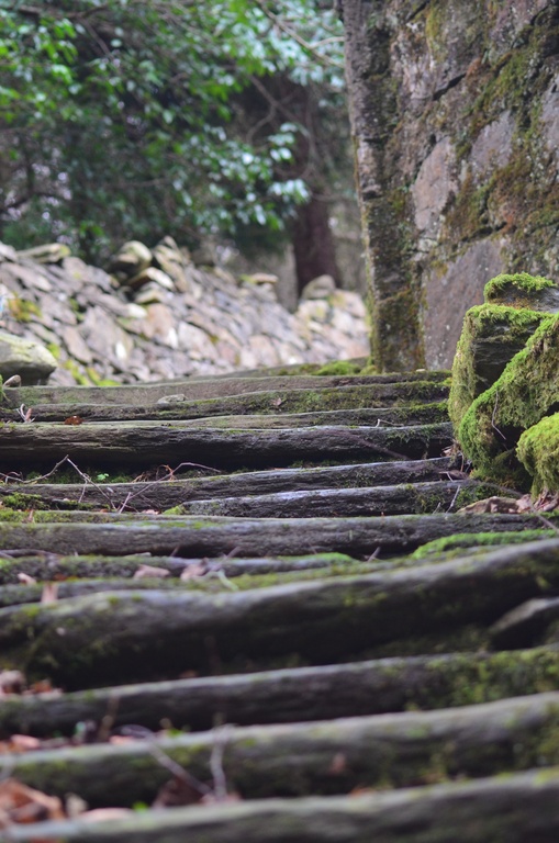 2013-12 Wales/Bryn Gwynant/DSC_0169.JPG